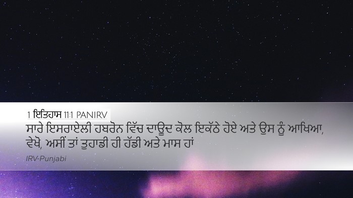 1 ਇਤਿਹਾਸ 11:1 PANIRV Bible Verse Image