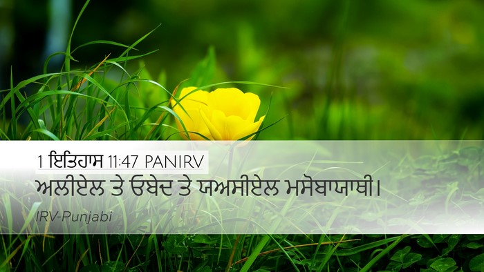 1 ਇਤਿਹਾਸ 11:47 PANIRV Desktop Wallpaper - ਅਲੀਏਲ ਤੇ ਓਬੇਦ ਤੇ - Desktop Bible Verse Wallpaper