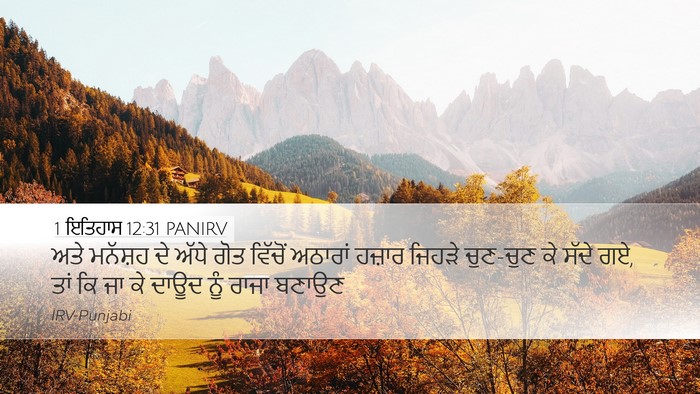 1 ਇਤਿਹਾਸ 12:31 PANIRV Bible Verse Image