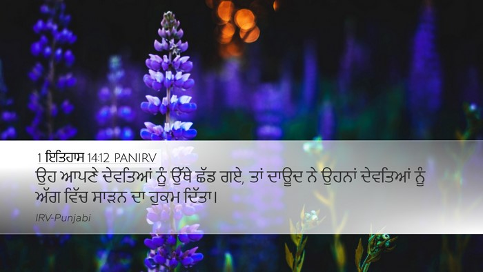 1 ਇਤਿਹਾਸ 14:12 PANIRV Bible Verse Image