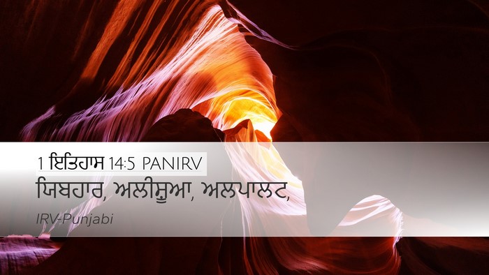 1 ਇਤਿਹਾਸ 14:5 PANIRV Bible Verse Image