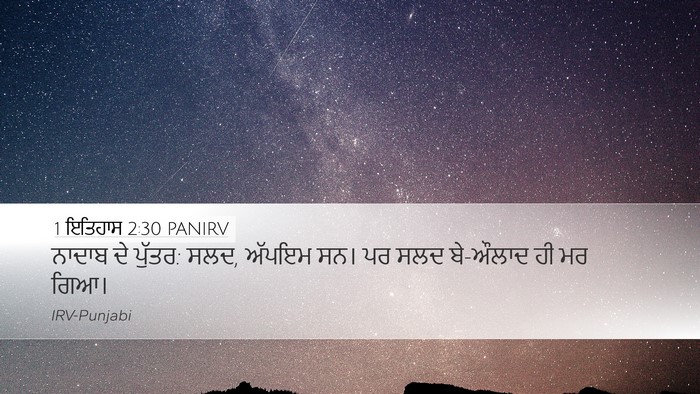 1 ਇਤਿਹਾਸ 2:30 PANIRV Desktop Wallpaper - ਨਾਦਾਬ ਦੇ ਪੁੱਤਰ: - Desktop Bible Verse Wallpaper