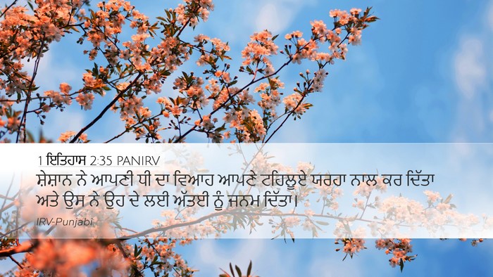 1 ਇਤਿਹਾਸ 2:35 PANIRV Desktop Wallpaper - ਸ਼ੇਸ਼ਾਨ ਨੇ ਆਪਣੀ ਧੀ - Desktop Bible Verse Wallpaper