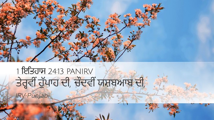 1 ਇਤਿਹਾਸ 24:13 PANIRV Desktop Wallpaper - ਤੇਰ੍ਹਵੀਂ ਹੁੱਪਾਹ - Desktop Bible Verse Wallpaper