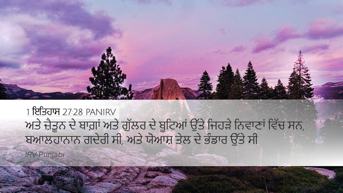 1 ਇਤਿਹਾਸ 27:28 PANIRV Bible Verse Image