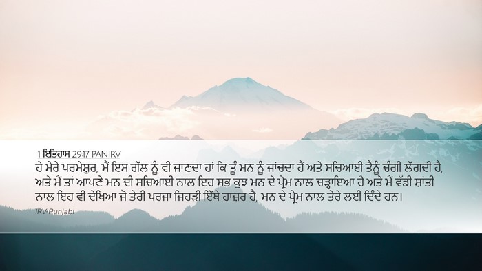 1 ਇਤਿਹਾਸ 29:17 PANIRV Bible Verse Image