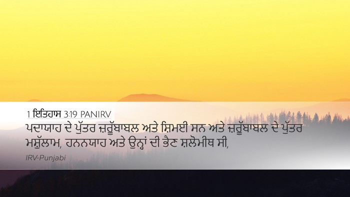 1 ਇਤਿਹਾਸ 3:19 PANIRV Bible Verse Image
