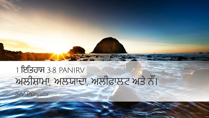 1 ਇਤਿਹਾਸ 3:8 PANIRV Bible Verse Image