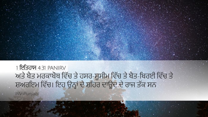 1 ਇਤਿਹਾਸ 4:31 PANIRV Bible Verse Image