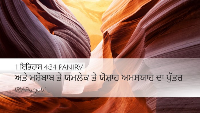 1 ਇਤਿਹਾਸ 4:34 PANIRV Bible Verse Image