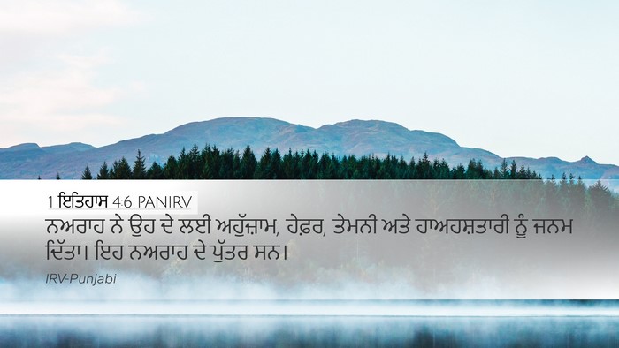 1 ਇਤਿਹਾਸ 4:6 PANIRV Desktop Wallpaper - ਨਅਰਾਹ ਨੇ ਉਹ ਦੇ ਲਈ - Desktop Bible Verse Wallpaper