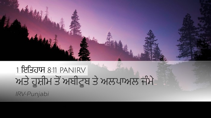 1 ਇਤਿਹਾਸ 8:11 PANIRV Desktop Wallpaper - ਅਤੇ ਹੂਸ਼ੀਮ ਤੋਂ - Desktop Bible Verse Wallpaper
