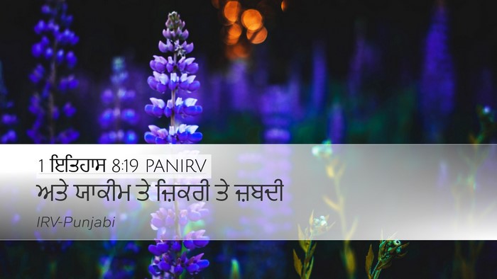 1 ਇਤਿਹਾਸ 8:19 PANIRV Desktop Wallpaper - ਅਤੇ ਯਾਕੀਮ ਤੇ - Desktop Bible Verse Wallpaper