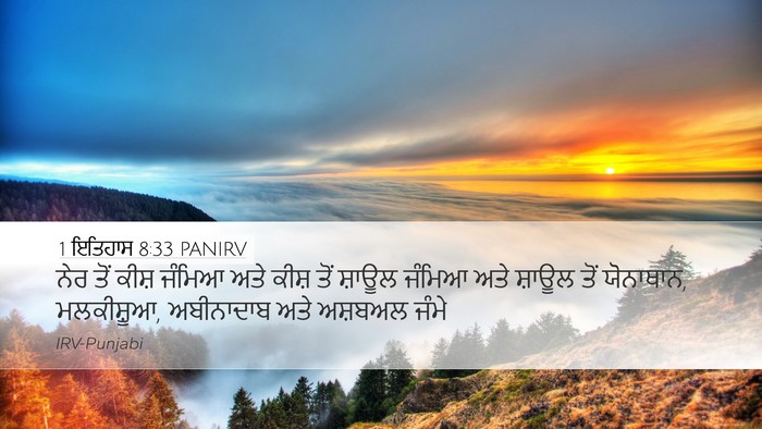 1 ਇਤਿਹਾਸ 8:33 PANIRV Bible Verse Image