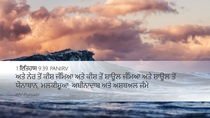 1 ਇਤਿਹਾਸ 9:39 PANIRV Bible Verse Image