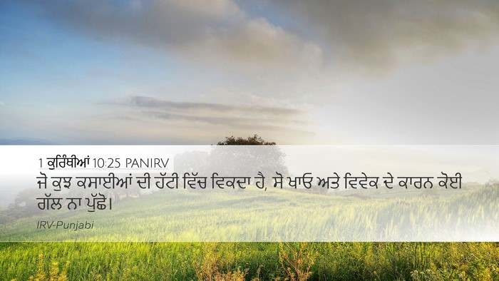 1 ਕੁਰਿੰਥੀਆਂ 10:25 PANIRV Bible Verse Image