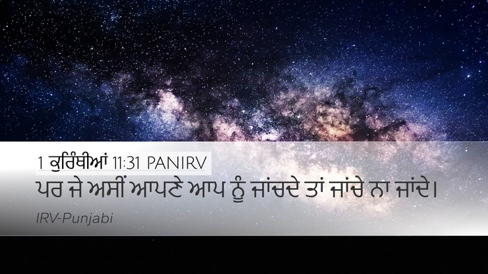 1 ਕੁਰਿੰਥੀਆਂ 11:31 PANIRV Bible Verse Image