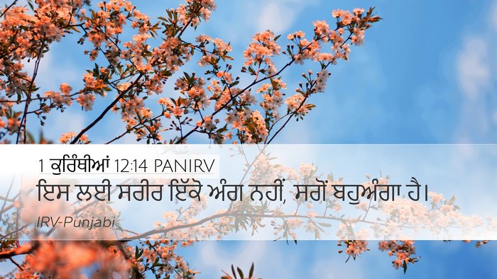 1 ਕੁਰਿੰਥੀਆਂ 12:14 PANIRV Bible Verse Image