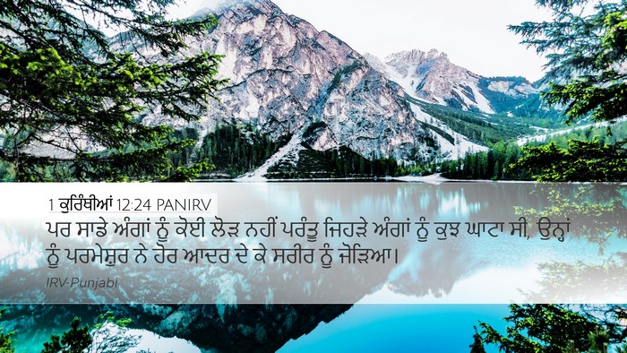 1 ਕੁਰਿੰਥੀਆਂ 12:24 PANIRV Desktop Wallpaper - ਪਰ ਸਾਡੇ ਅੰਗਾਂ ਨੂੰ - Desktop Bible Verse Wallpaper