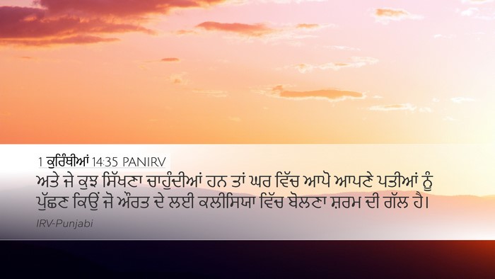 1 ਕੁਰਿੰਥੀਆਂ 14:35 PANIRV Bible Verse Image
