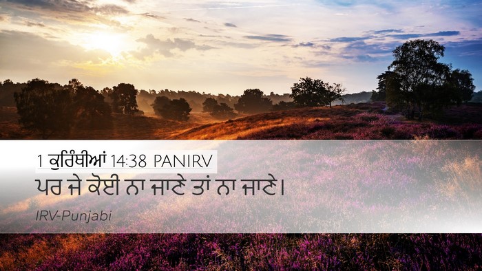 1 ਕੁਰਿੰਥੀਆਂ 14:38 PANIRV Desktop Wallpaper - ਪਰ ਜੇ ਕੋਈ ਨਾ ਜਾਣੇ - Desktop Bible Verse Wallpaper