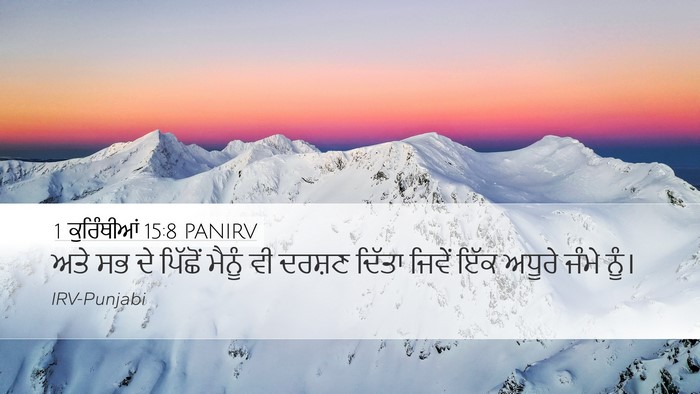 1 ਕੁਰਿੰਥੀਆਂ 15:8 PANIRV Bible Verse Image