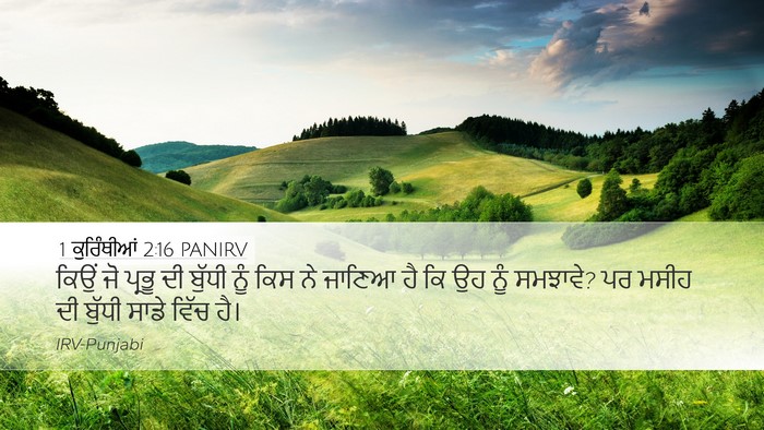 1 ਕੁਰਿੰਥੀਆਂ 2:16 PANIRV Desktop Wallpaper - ਕਿਉਂ ਜੋ ਪ੍ਰਭੂ ਦੀ - Desktop Bible Verse Wallpaper