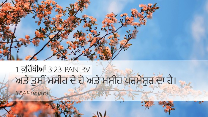 1 ਕੁਰਿੰਥੀਆਂ 3:23 PANIRV Bible Verse Image