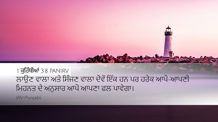 1 ਕੁਰਿੰਥੀਆਂ 3:8 PANIRV Bible Verse Image