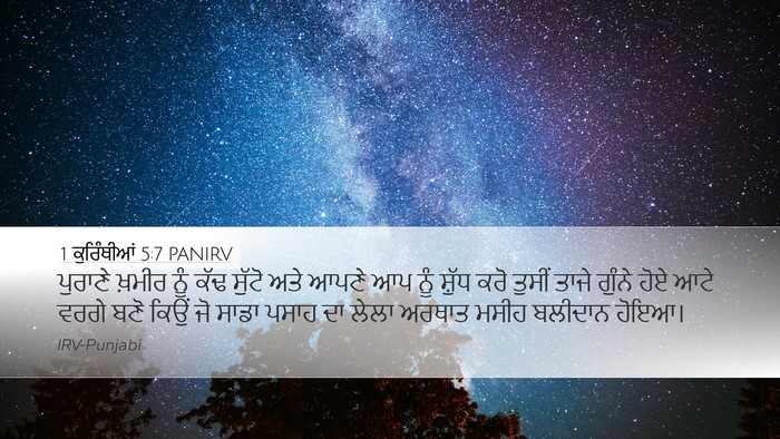 1 ਕੁਰਿੰਥੀਆਂ 5:7 PANIRV Bible Verse Image