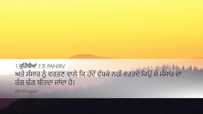 1 ਕੁਰਿੰਥੀਆਂ 7:31 PANIRV Bible Verse Image