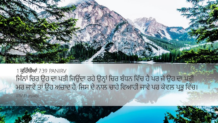 1 ਕੁਰਿੰਥੀਆਂ 7:39 PANIRV Bible Verse Image