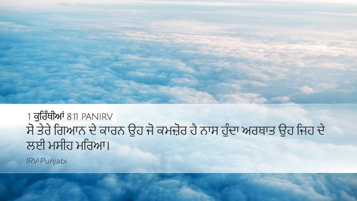 1 ਕੁਰਿੰਥੀਆਂ 8:11 PANIRV Bible Verse Image