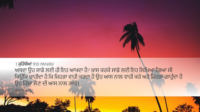 1 ਕੁਰਿੰਥੀਆਂ 9:10 PANIRV Bible Verse Image