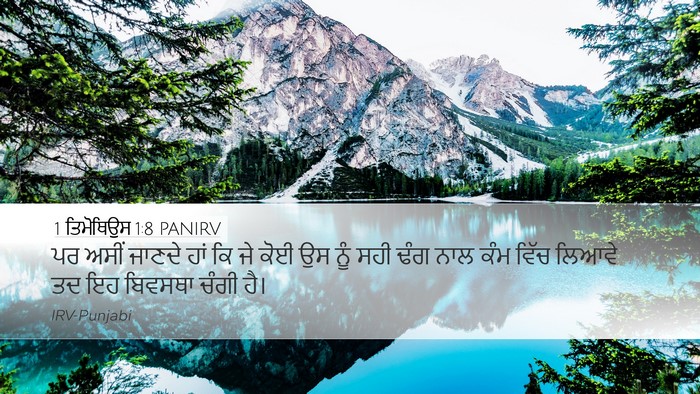 1 ਤਿਮੋਥਿਉਸ 1:8 PANIRV Bible Verse Image