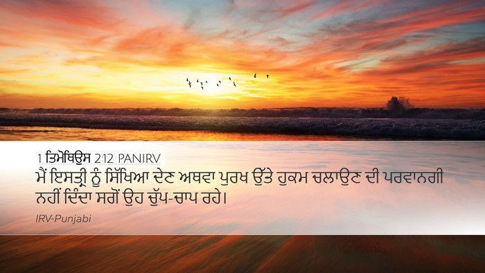 1 ਤਿਮੋਥਿਉਸ 2:12 PANIRV Desktop Wallpaper - ਮੈਂ ਇਸਤ੍ਰੀ ਨੂੰ - Desktop Bible Verse Wallpaper