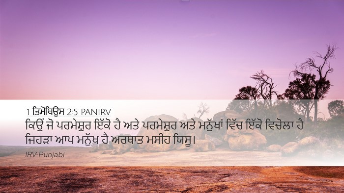 1 ਤਿਮੋਥਿਉਸ 2:5 PANIRV Bible Verse Image