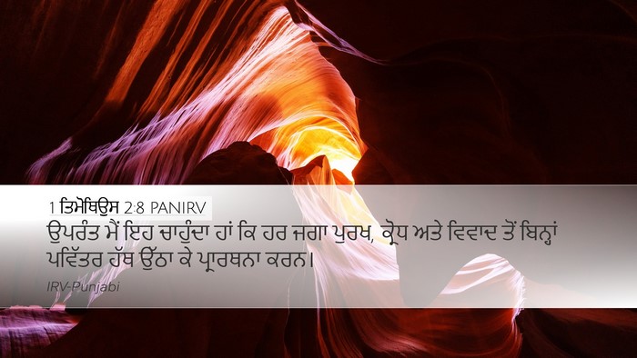 1 ਤਿਮੋਥਿਉਸ 2:8 PANIRV Bible Verse Image