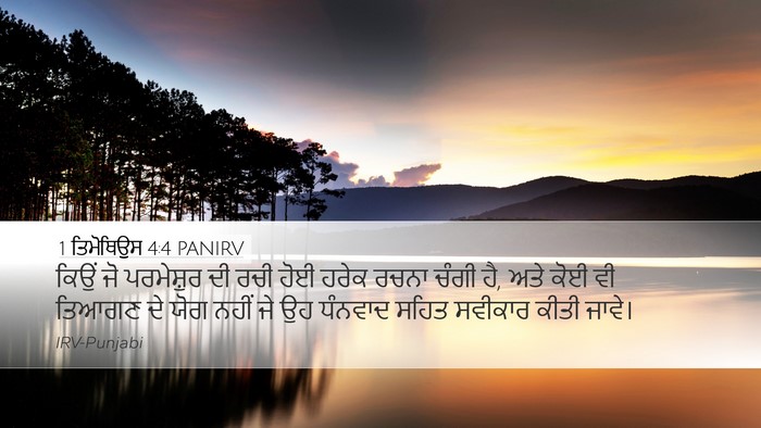 1 ਤਿਮੋਥਿਉਸ 4:4 PANIRV Bible Verse Image