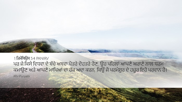 1 ਤਿਮੋਥਿਉਸ 5:4 PANIRV Bible Verse Image