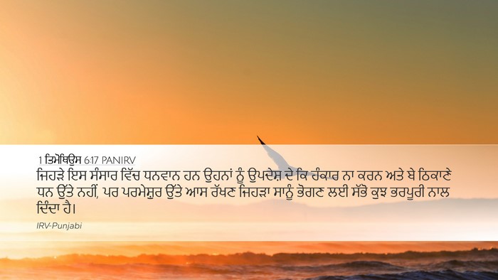 1 ਤਿਮੋਥਿਉਸ 6:17 PANIRV Bible Verse Image