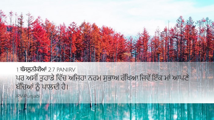 1 ਥੱਸਲੁਨੀਕੀਆਂ 2:7 PANIRV Bible Verse Image