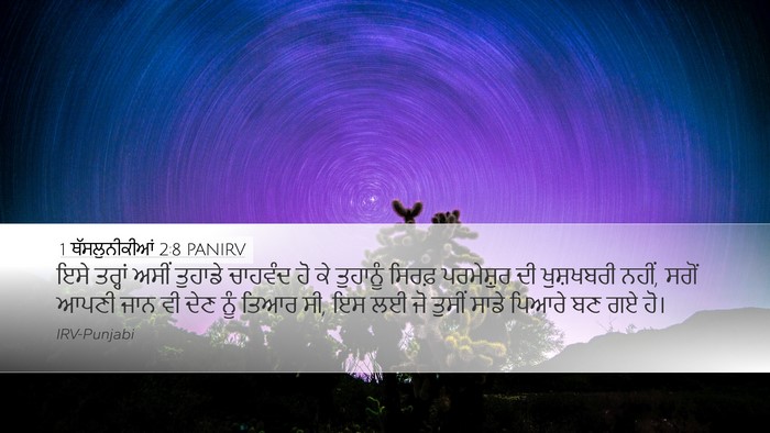 1 ਥੱਸਲੁਨੀਕੀਆਂ 2:8 PANIRV Bible Verse Image