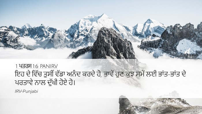 1 ਪਤਰਸ 1:6 PANIRV Bible Verse Image