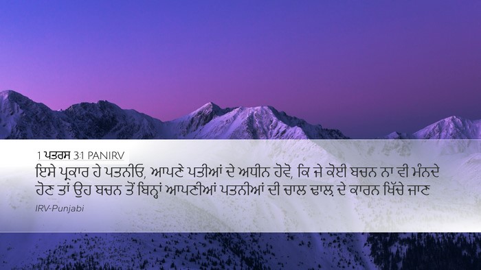 1 ਪਤਰਸ 3:1 PANIRV Bible Verse Image