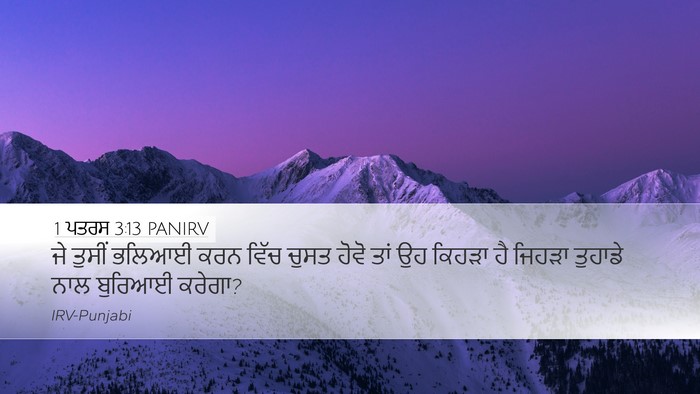 1 ਪਤਰਸ 3:13 PANIRV Bible Verse Image