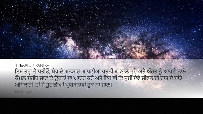 1 ਪਤਰਸ 3:7 PANIRV Bible Verse Image