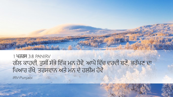 1 ਪਤਰਸ 3:8 PANIRV Bible Verse Image