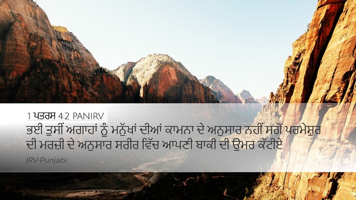 1 ਪਤਰਸ 4:2 PANIRV Bible Verse Image