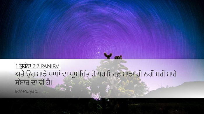 1 ਯੂਹੰਨਾ 2:2 PANIRV Bible Verse Image